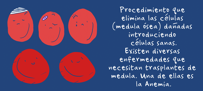 anemia aplásica médula ósea